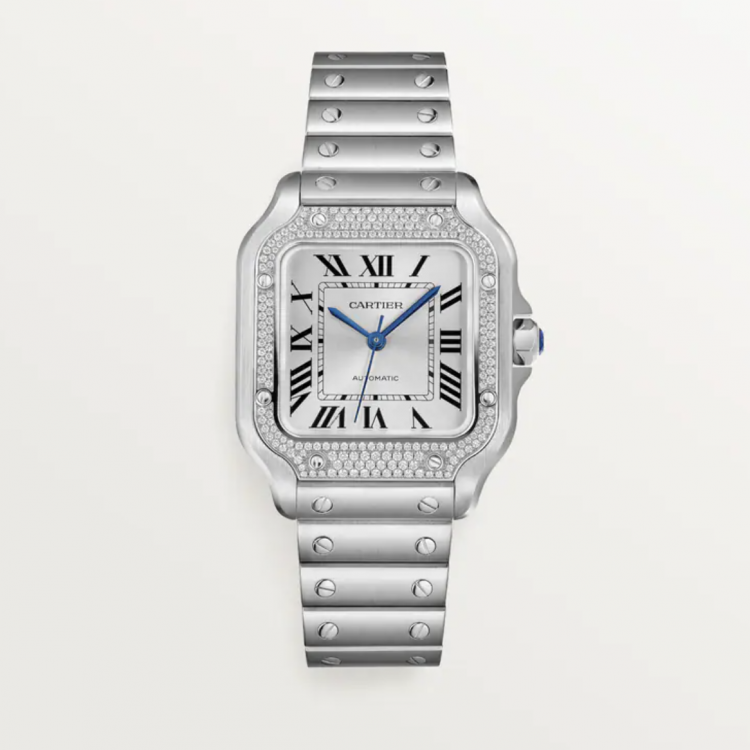 Cartier Santos Diamond