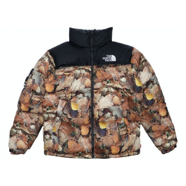 xr:d:DAFmkUkWp4Q:336,j:4493880086848357773,t:23122701 Supreme x The North Face- Leather Leaves Jacket